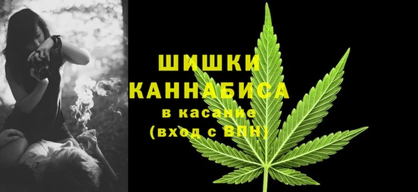 Альфа ПВП Богородицк