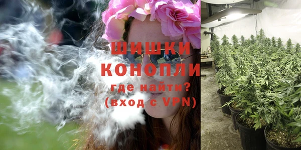 Альфа ПВП Богородицк