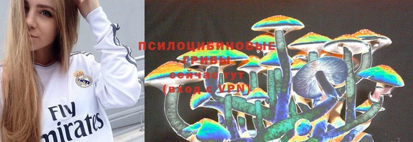 Альфа ПВП Богородицк