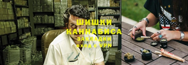 гидра Богданович